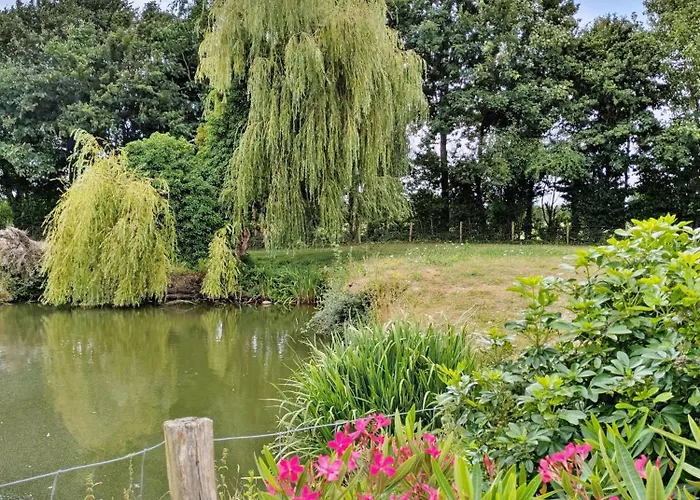 La Rose Tremiere, 6 Personnes Ferienhaus Cossé-le-Vivien